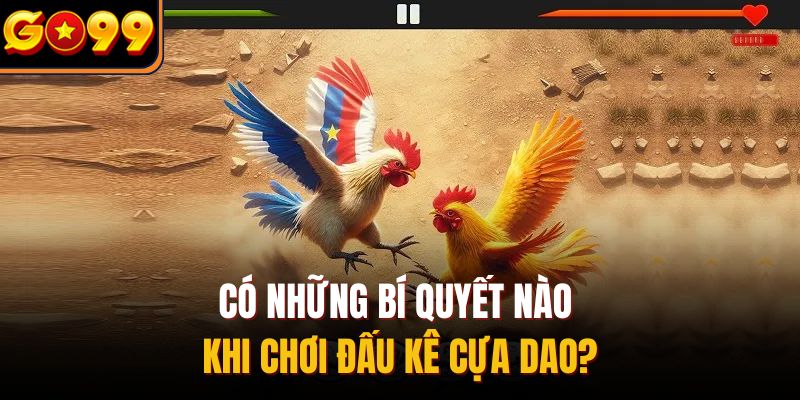 Có những bí quyết nào khi chơi đấu kê cựa dao?