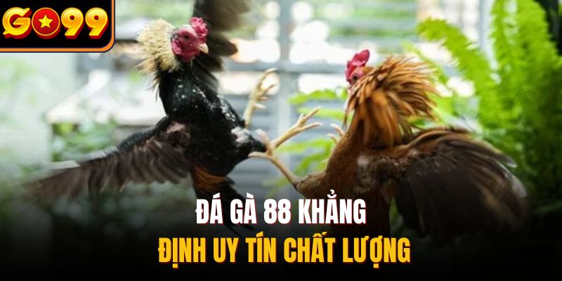 Đá gà 88 khẳng định uy tín chất lượng