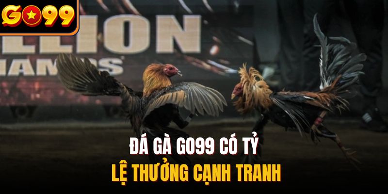 Đá gà Go99 có tỷ lệ thưởng cạnh tranh