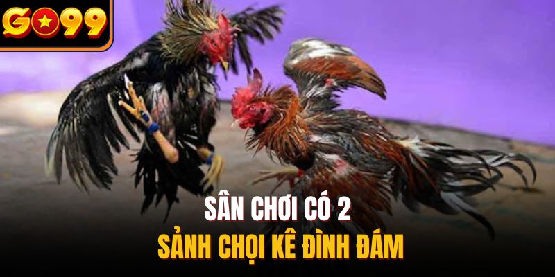 Sân chơi có 2 sảnh chọi kê đình đám