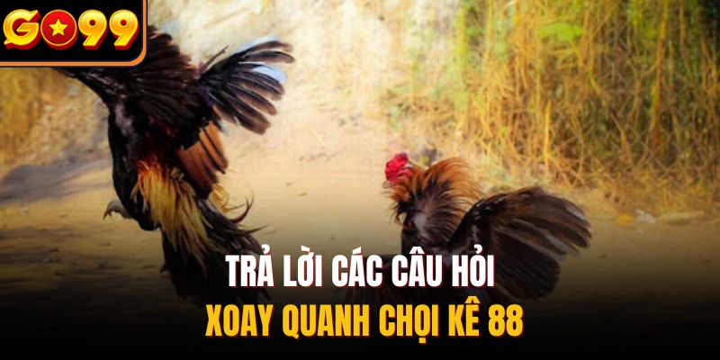 Trả lời các câu hỏi xoay quanh chọi kê 88
