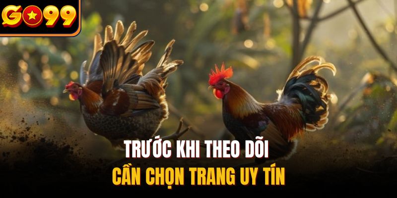 Trước khi theo dõi cần chọn trang uy tín